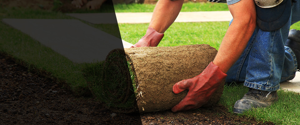 Kaufman Landscapers